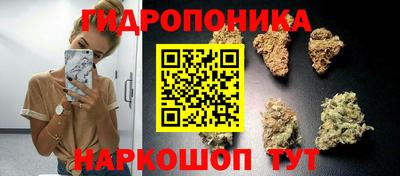 ECSTASY Балашиха