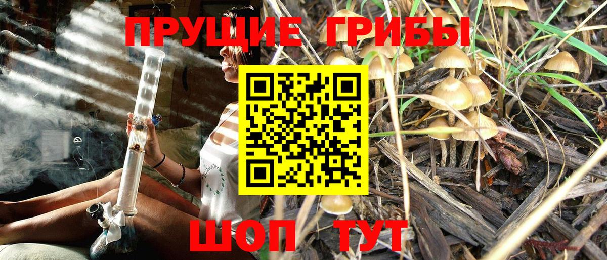 Псилоцибиновые грибы ЛСД  Вход с VPN  Гатчина 