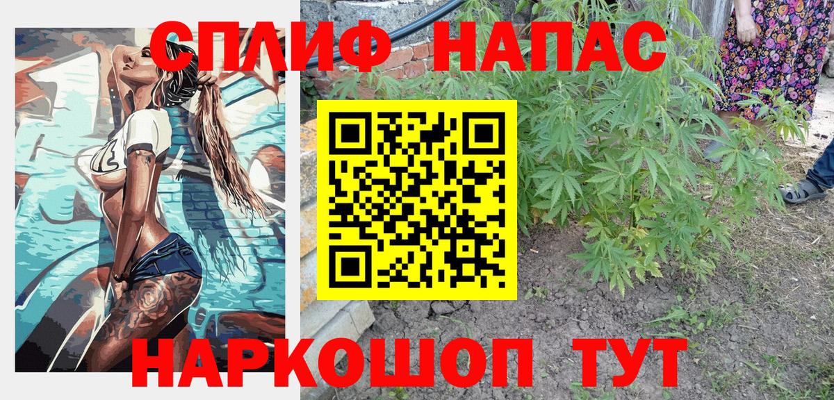 Шишки марихуана план  Конопля VHQ  Гатчина  Канабис LSD WEED  Вход с VPN 